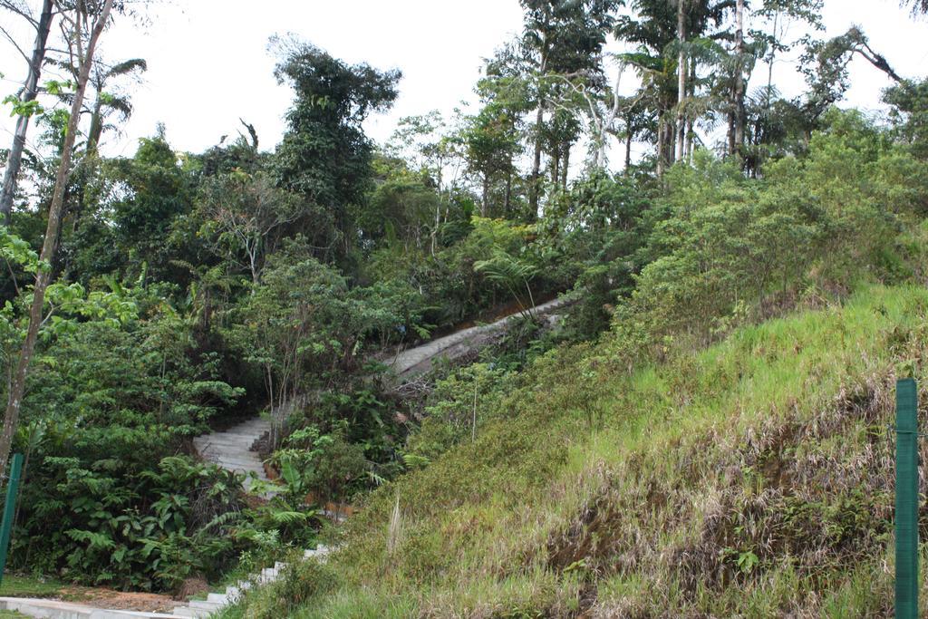 Cameron Golden Hills Resort Tanah Rata Exteriör bild