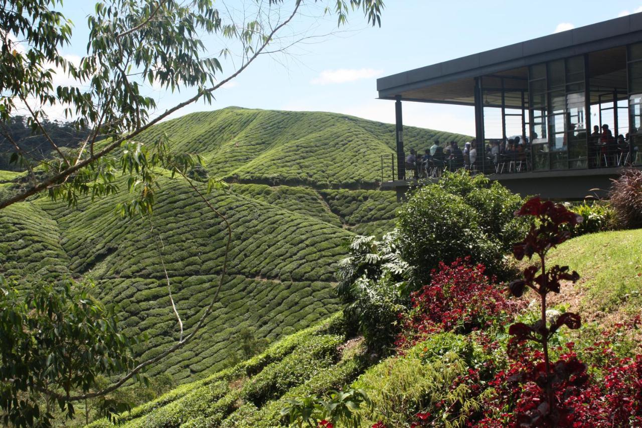 Cameron Golden Hills Resort Tanah Rata Exteriör bild