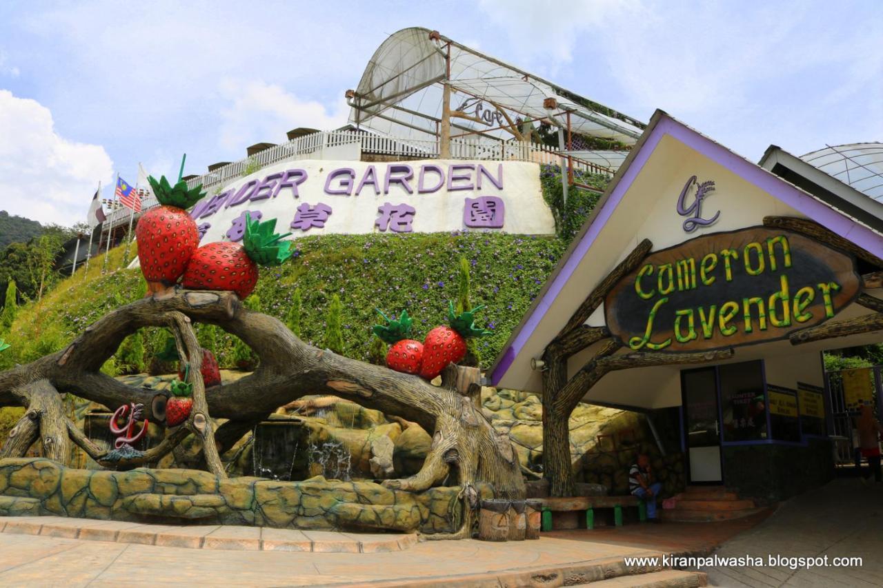 Cameron Golden Hills Resort Tanah Rata Exteriör bild