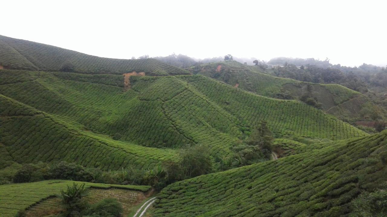 Cameron Golden Hills Resort Tanah Rata Exteriör bild